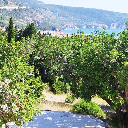 Daire M&d Appartments *