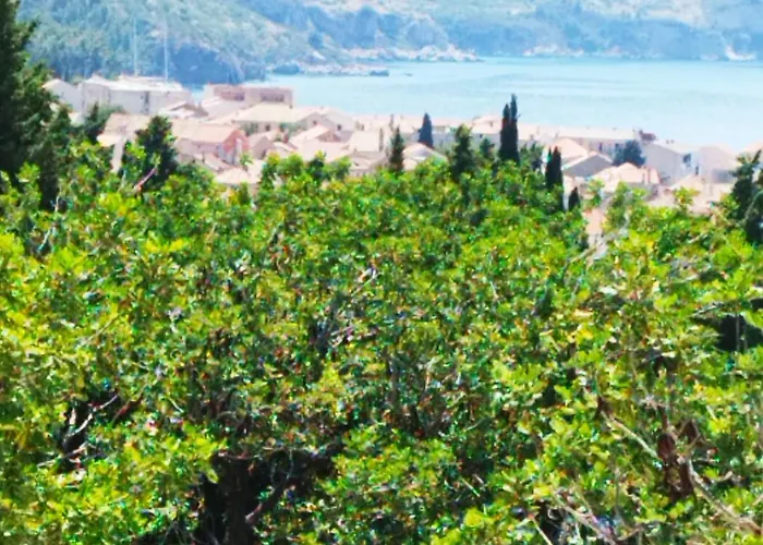 アパート M&d Appartments コミジャ