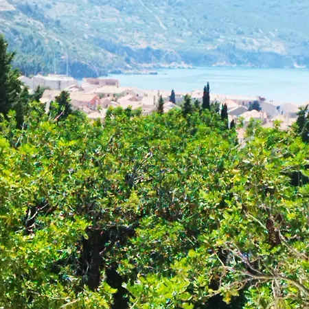 Appartamento M&d Appartments Komiža